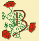 Braems bild-2.PNG